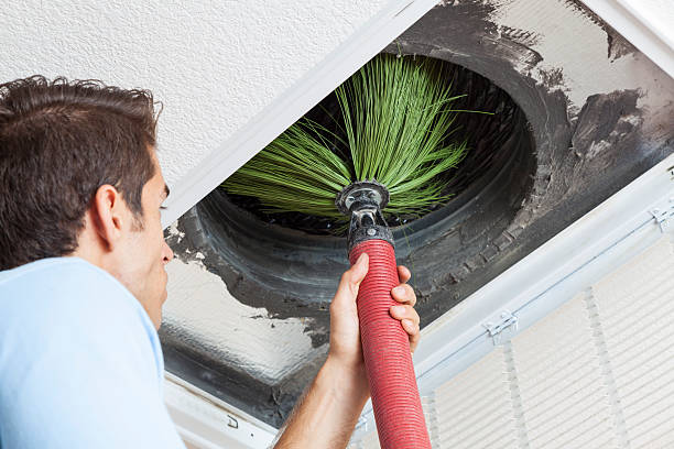 Best Dryer Vent Cleaning Services  in Roseville, MI