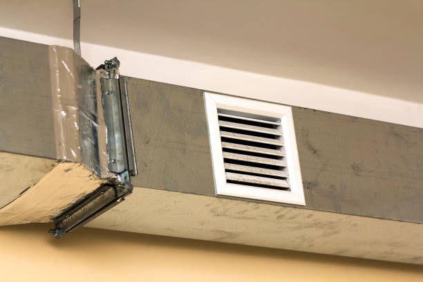 Best Air Duct Mold Removal  in Roseville, MI