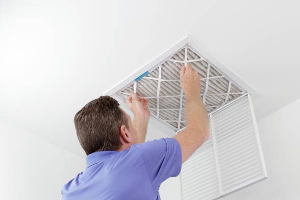 Best Home Air Vent Cleaning  in Roseville, MI